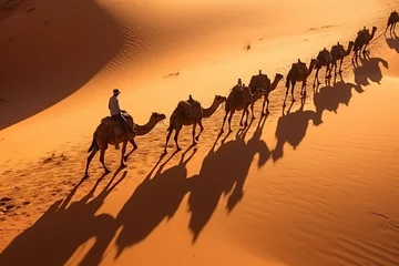  People on camels move through the desert. Beautiful desert landscape, top view © Vovmar