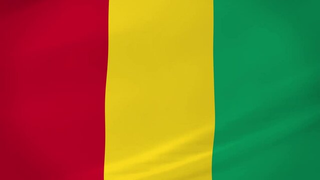 Guinea Waving Flag Realistic Animation Video