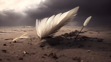 feather on the sand