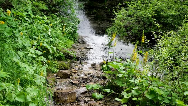 A clear stream on Luya Mountain