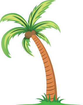 palm tree with leaves