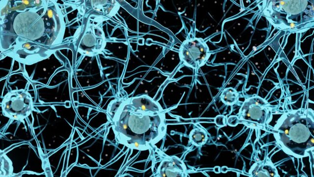 A neuron or nerve cell is an electrically excitable cell. It communicates with other cells via synapses 3d rendered	
