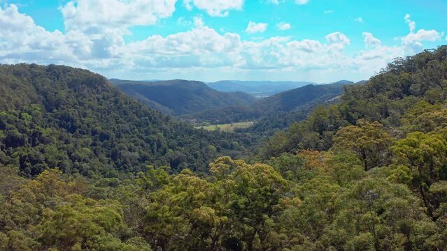 Wilderness of Kondalilla rainforest national park Queensland Australia