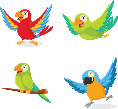 Set of Cute Parrot cartoon collection, isolated on white background