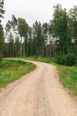 Fototapeta na wymiar A beautiful S-shaped gravel road in the middle of the forest in summer