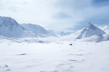 Fototapeta na wymiar the quiet solitude of a snow-covered mountain