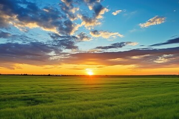 a peaceful sunset landscape captured across vast country fields