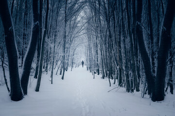 man walking on snowy path in dark winter woods