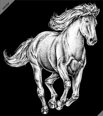 Vintage engraving isolated horse set illustration ink sketch. Wild equine background nag mustang animal silhouette art. Black and white hand drawn vector image