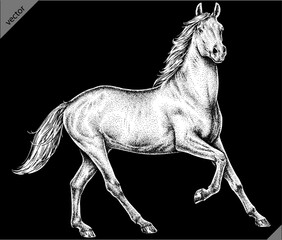 Vintage engraving isolated horse set illustration ink sketch. Wild equine background nag mustang animal silhouette art. Black and white hand drawn vector image