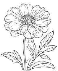 Coloring book, floral background, flowers on a white background.