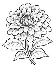 Coloring book, floral background, flowers on a white background.