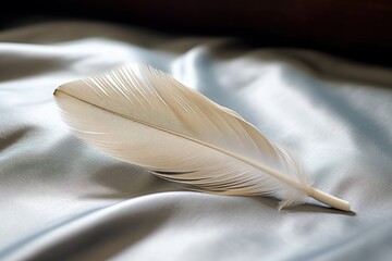 a single feather placed gently on smooth sheets