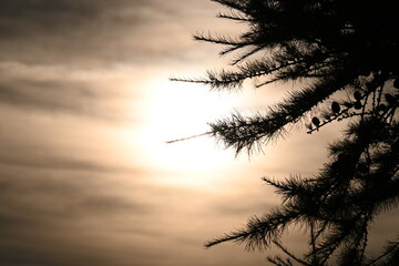 sunset in the french mountains