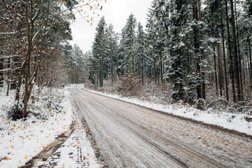 forest road covered with snow