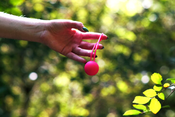 Woman's hand holds pink Kegel balls, Ben Wa balls against a background of green bushes in the forest. Vaginal balls in a woman's hand. Sex toys Geisha balls. Sex shop - obrazy, fototapety, plakaty