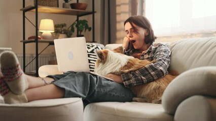 Tired young student freelancer with cute fluffy corgi dog pet feeling boring with study or work at home Stressed female exhausted from remote distance work or education on laptop computer indoors