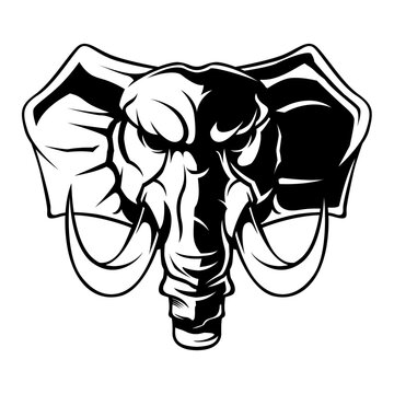 Elephant Vector Drawing. Elephant Head Black And White Logo Vector Mascot template