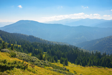mountainous landscape of ukrainian highlands in summer. view in to the distant chornohora ridge. rolling scenery in bright sunny weather