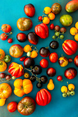 Multi-colored bright ripe tomatoes on an emerald green background, different types of tomatoes, summer harvest from the garden, top view