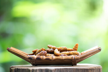 Fried silkworms placed on natural background.