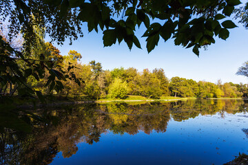 Reflection of trees in the water of a lake in the park