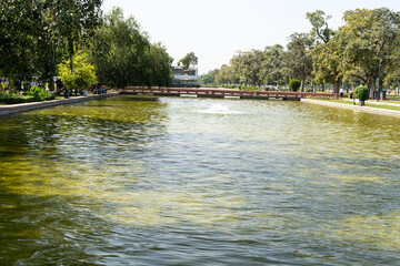 a big artificial pond near India Gate
