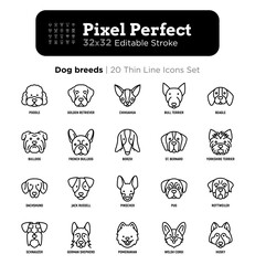 Dog breeds thin line icons set. Poodle, bull terrier, beagle, french bulldog, yorkshire terrier, dachshund, jack russell, pinscher, pug. Dog heads, front view. Editable stroke. Vector illustration.