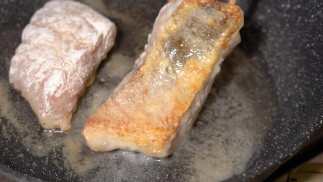 Frying fresh zander fillets, on a frying pan