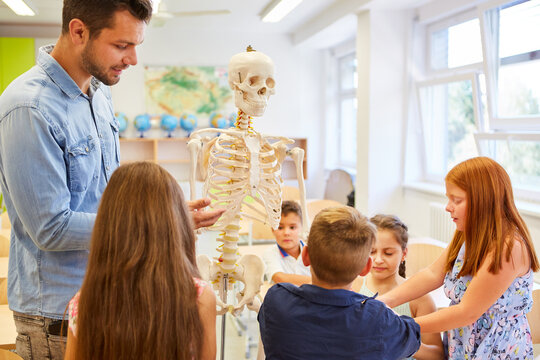 Teacher explaining human skeleton to kids in class