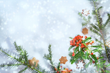 Fototapeta na wymiar Snowy Christmas background from natural evergreen branches, firethorn fruits and cinnamon stars, holiday greeting card with copy space, selected focus
