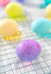 Fototapeta na wymiar Easter egg coloring