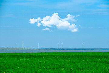 Wind turbines on beautiful sunny summer landsape. Above Cloud Windmills far from green grass and...