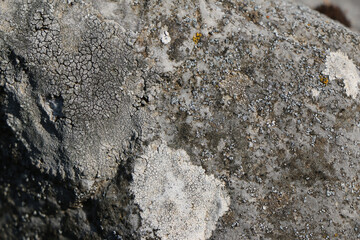 Details of natural stone patterns in the mountain. Rock texture in black and white color. Stone background. Nature.