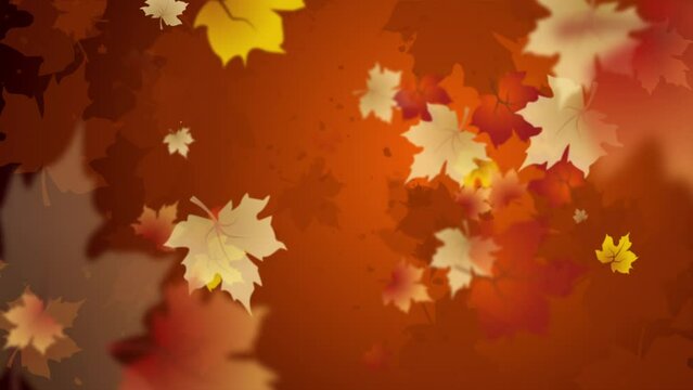 Autumn orange floral background with drawn blurred swirling maple leaves. Looped motion graphics.