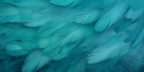 Fotobehang Turquoise textured feather close up background  © TatjanaMeininger