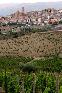 Landscape between vineyards of the village Gratallops during spring in the Priorat designation of origin region in Catalonia in Spain