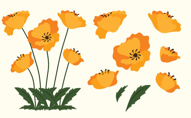 California poppy background.Eps 10 vector.