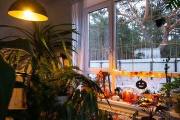 Festive decor of the house on the windowsill for Halloween in interior with homemade potted plants- pumpkins, Jack o lanterns, skulls, skeletons, candles and garland - cozy and terrible mood
