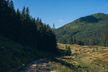 Hala Gasienicowa in Carpathian Mountains, Poland. Sunny day at fall season.