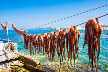Strings of octopus hanging in the sun outside taverna in Mandrakia village, Milos island, Cyclades, Greece