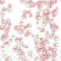 Pink Vector Realistic Petals Falling on Transparent Background.  Spring Romantic Flowers Illustration. Flying Petals. Sakura Spa Design. Blossom Confetti. Design Elements for Wedding Decoration.