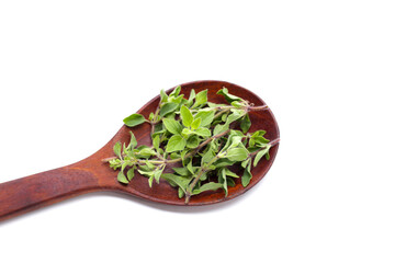 Fresh oregano on white background.