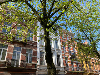 Schöne Altbaufassaden in Brüssel, Stadtteil Ixelles, Belgien	