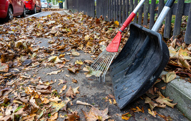 Leaves on a sidewalk in autumn