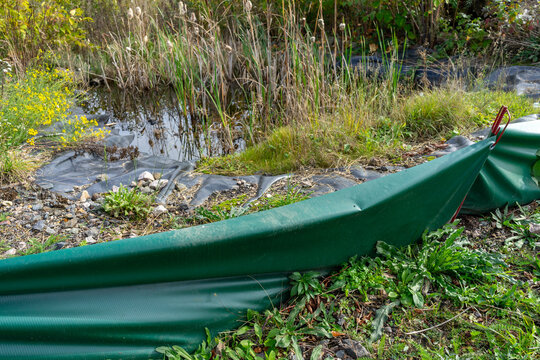 Froschzaun Bilder Durchsuchen 852 Archivfotos, und