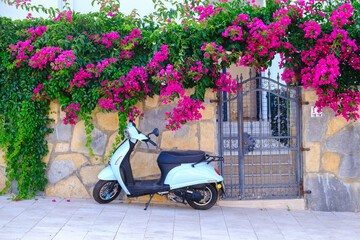 Old European street. The walls are covered with ivy, flowers, a white scooter parked. View of...