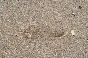 close-up shot of human footstep on the sandy beach. Minimalistic. Conceptualizes solitude, travel, the footprint of humanity on the planet's destiny, psychology, and finding solace in nature alone