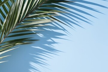 Obraz premium Depicting Blurred Shadows From Palm Leaves On Blue Wall, Offering Rinimal Abstract Background For Product Presentation, Suitable For Spring And Summer Themes