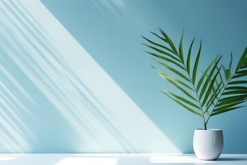 Fototapeta na wymiar A Plant In A White Vase